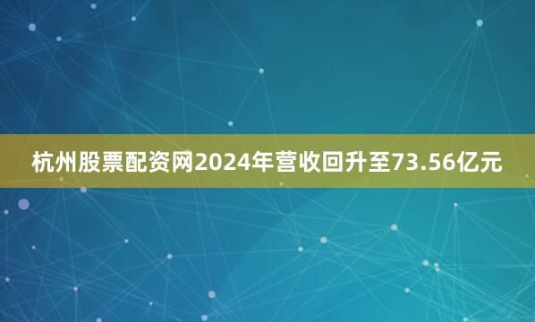 杭州股票配资网2024年营收回升至73.56亿元
