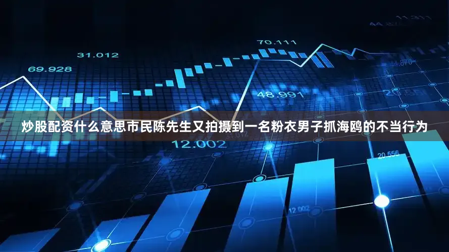 炒股配资什么意思市民陈先生又拍摄到一名粉衣男子抓海鸥的不当行为