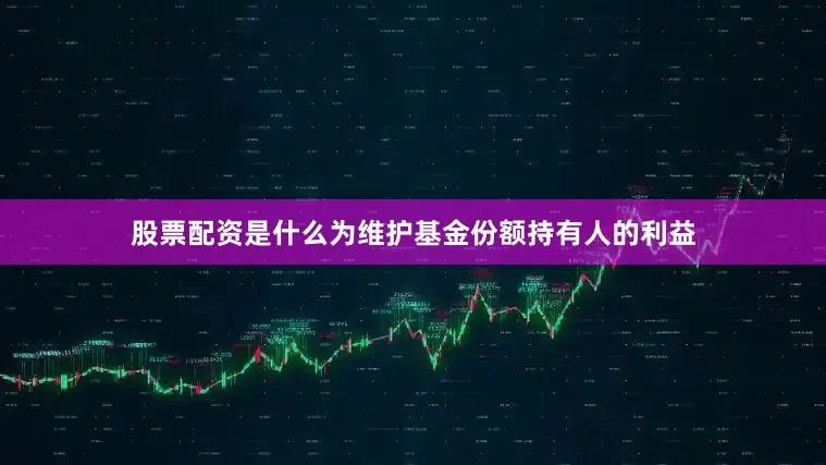 股票配资是什么为维护基金份额持有人的利益
