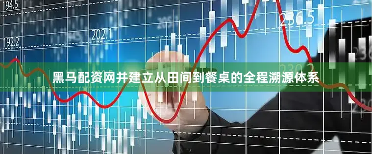 黑马配资网并建立从田间到餐桌的全程溯源体系