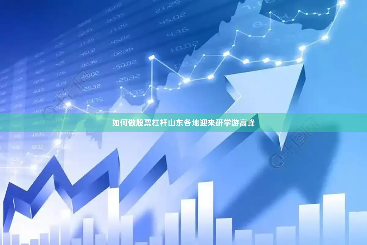 如何做股票杠杆山东各地迎来研学游高峰