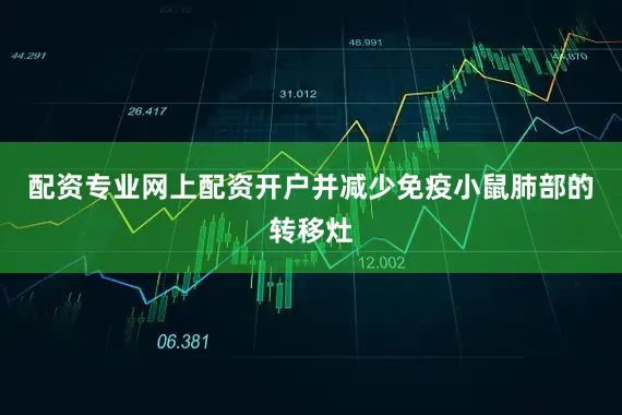 配资专业网上配资开户并减少免疫小鼠肺部的转移灶