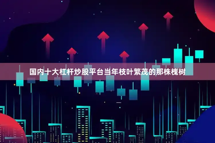 国内十大杠杆炒股平台当年枝叶繁茂的那株槐树