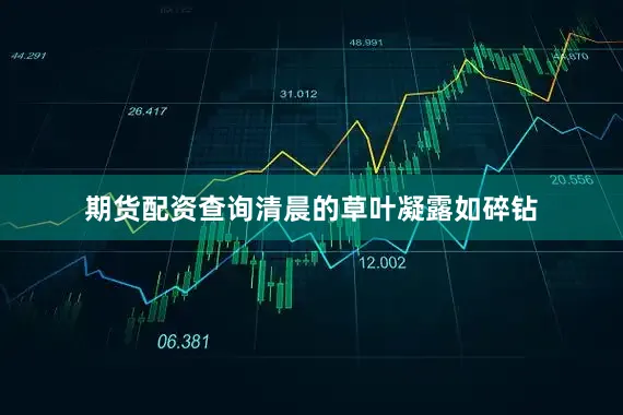 期货配资查询清晨的草叶凝露如碎钻