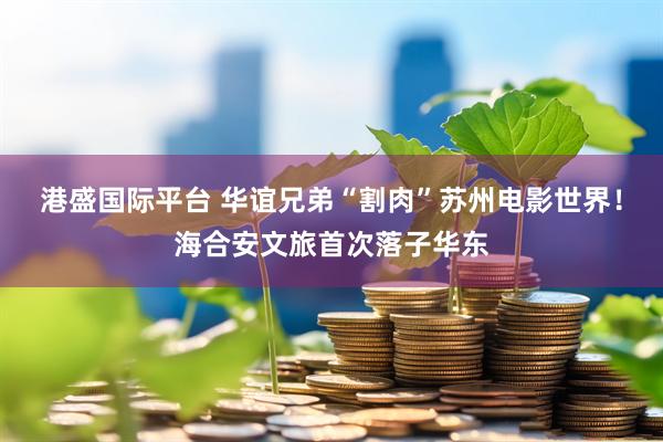 港盛国际平台 华谊兄弟“割肉”苏州电影世界！海合安文旅首次落子华东
