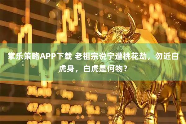 掌乐策略APP下载 老祖宗说宁遭桃花劫，勿近白虎身，白虎是何物？