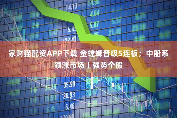 家财猫配资APP下载 金螳螂晋级5连板；中船系领涨市场丨强势个股
